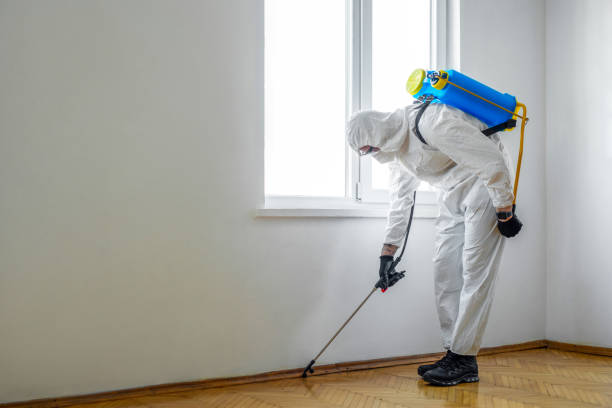 Best Residential Pest Control  in East Valley, NV