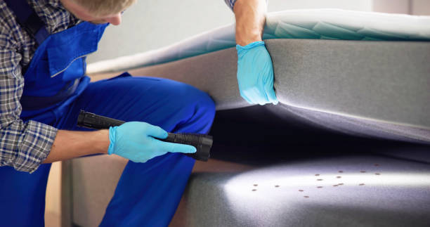 Best Pest Prevention Services  in East Valley, NV