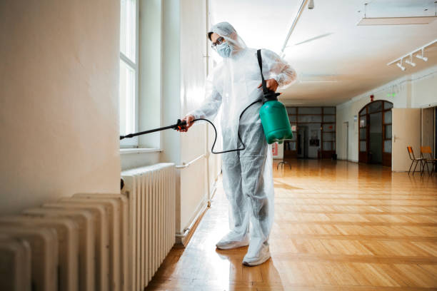 Best Affordable Pest Control Services  in East Valley, NV