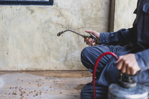 Best Best Pest Control Companies  in East Valley, NV